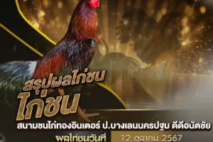 ผลไก่ชน 12 ตุลาคม 2567