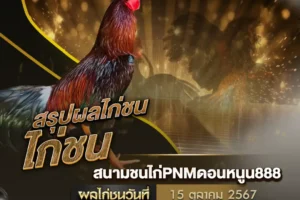 ผลไก่ชน 15 ตุลาคม 2567