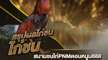 ผลไก่ชน 15 ตุลาคม 2567