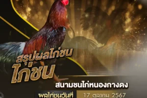 ผลไก่ชน 17 ตุลาคม 2567