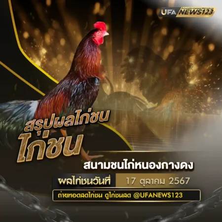 ผลไก่ชน 17 ตุลาคม 2567