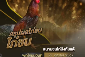 ผลไก่ชน 21 ตุลาคม 2567