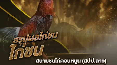 ผลไก่ชน 22 ตุลาคม 2567