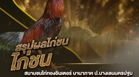 ผลไก่ชน 26 ตุลาคม 2567