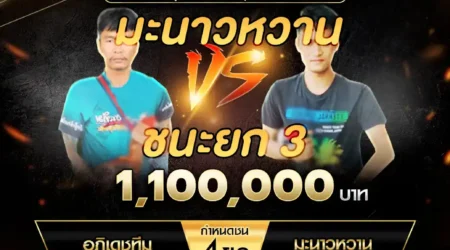 เทปไก่ชน อภิเดชทีม VS มะนาวหวาน 19 ตุลาคม 2567