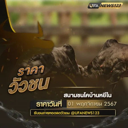 ราคาวัวชน 01 พฤศจิกายน 2567