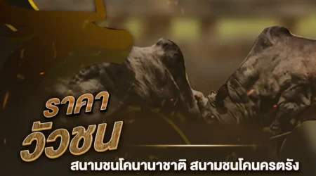 ราคาวัวชน 05 ตุลาคม 2567