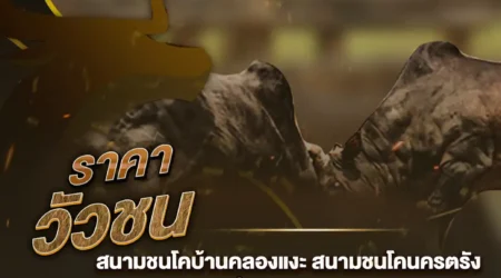 ราคาวัวชน 06 ตุลาคม 2567