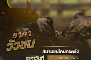 ราคาวัวชน 07 ตุลาคม 2567