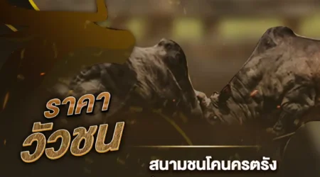 ราคาวัวชน 07 ตุลาคม 2567