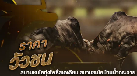 ราคาวัวชน 14 ตุลาคม 2567