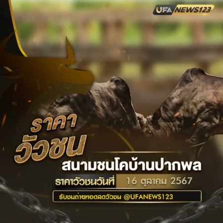 ราคาวัวชน 16 ตุลาคม 2567