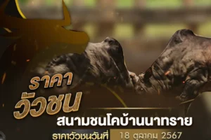 ราคาวัวชน 18 ตุลาคม 2567