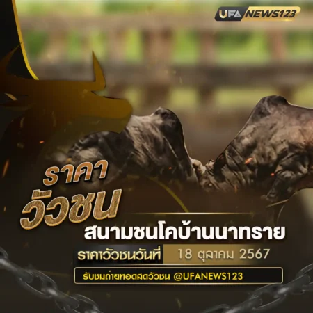 ราคาวัวชน 18 ตุลาคม 2567