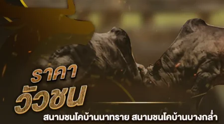 ราคาวัวชน 19 ตุลาคม 2567