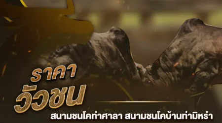 ราคาวัวชน 21 ตุลาคม 2567