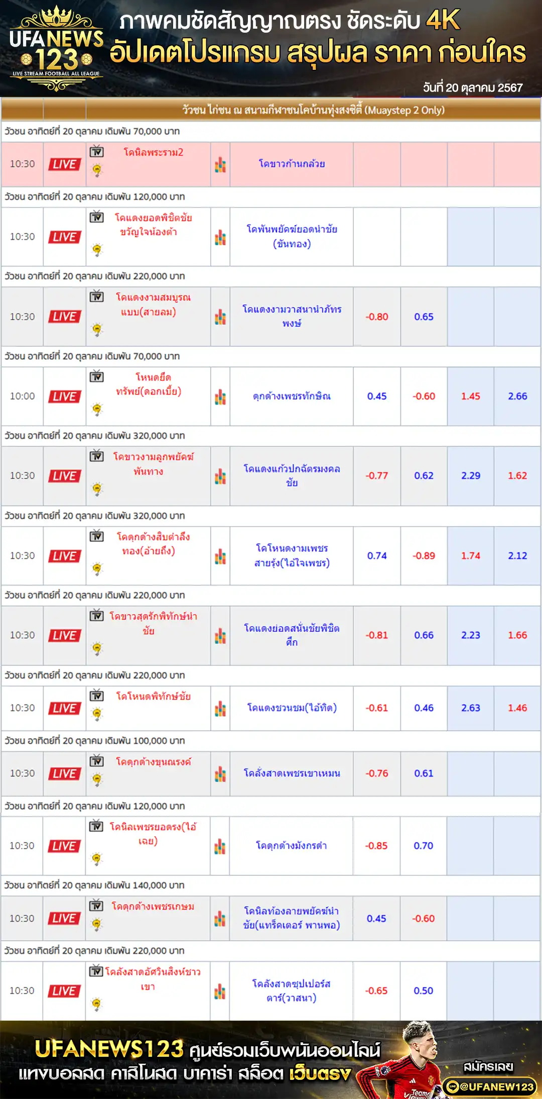 ราคาวัวชน สนามชนโคทุ่งสงซิตี้ เริ่มชนเวลา 10.30 น. 20 ตุลาคม 2567