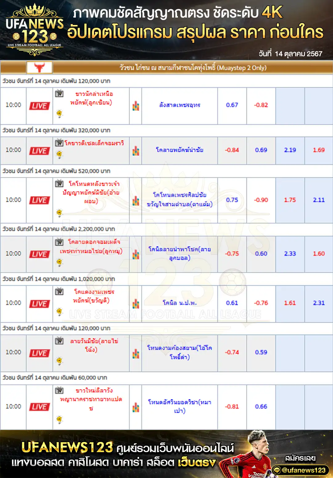 ราคาวัวชน สนามกีฬาชนโคทุ่งโพธิ์สเตเดียม เริ่มชนเวลา 10:00 น. 14 ตุลาคม 2567