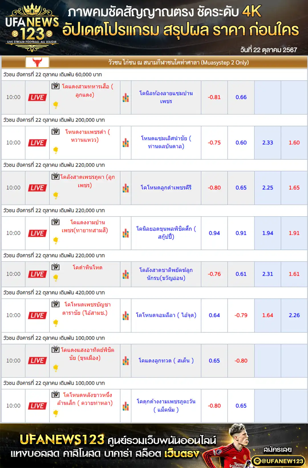 ราคาวัวชน สนามชนโคท่าศาลา เริ่มชนเวลา 10.00 น. 22 ตุลาคม 2567