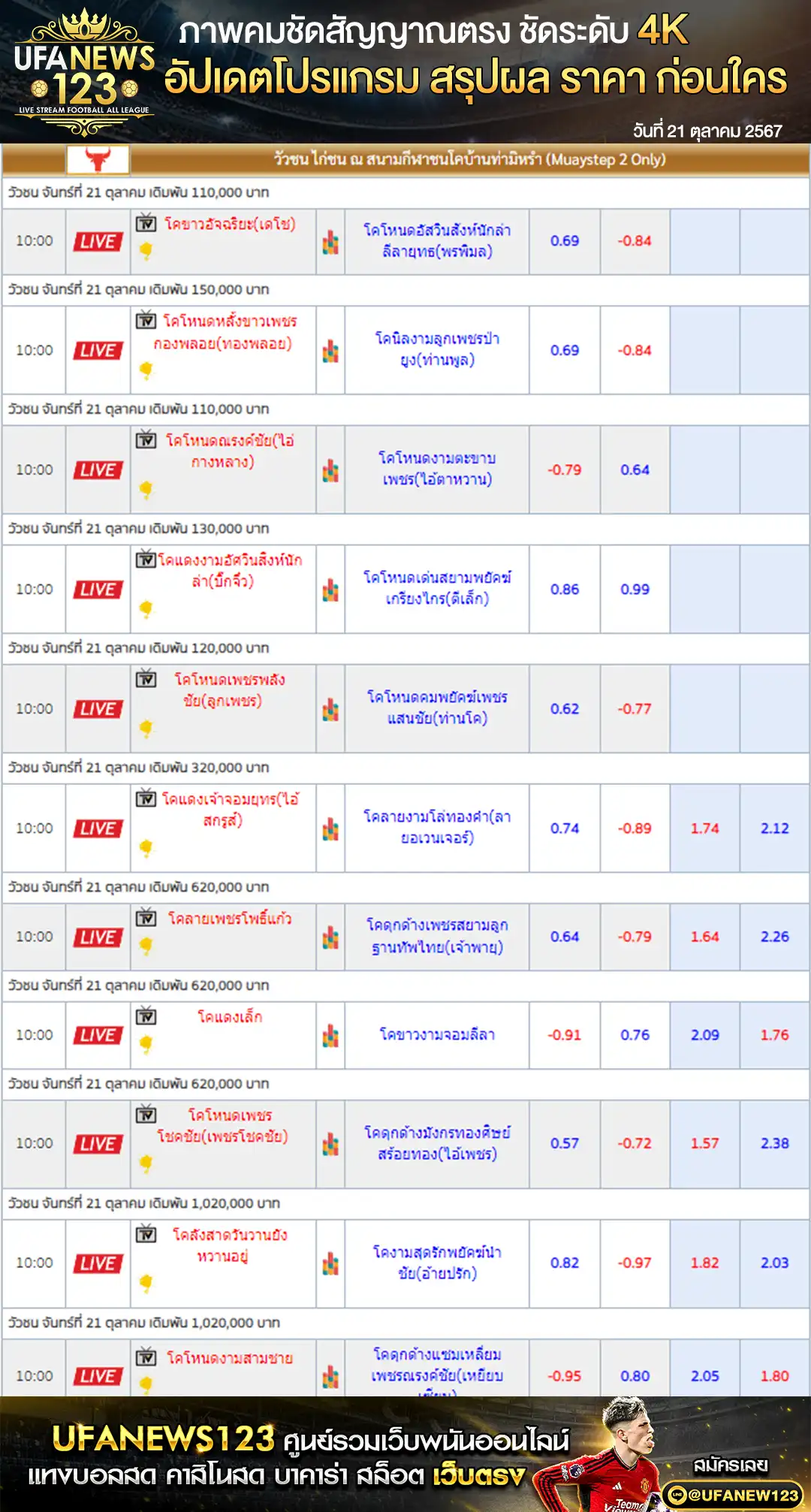 ราคาวัวชน สนามชนโคบ้านท่ามิหรำ เริ่มชนเวลา 10.00 น. 21 ตุลาคม 2567