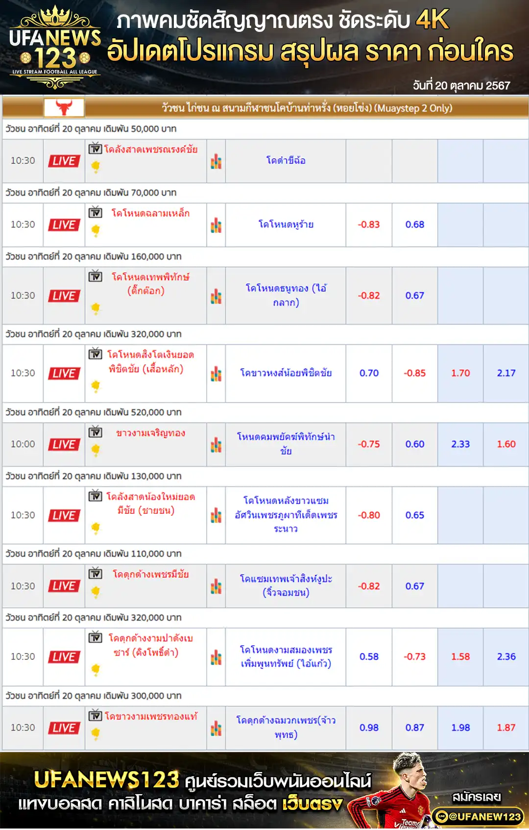 ราคาวัวชน สนามชนโคบ้านท่าหรั่ง เริ่มชนเวลา 10.30 น. 20 ตุลาคม 2567