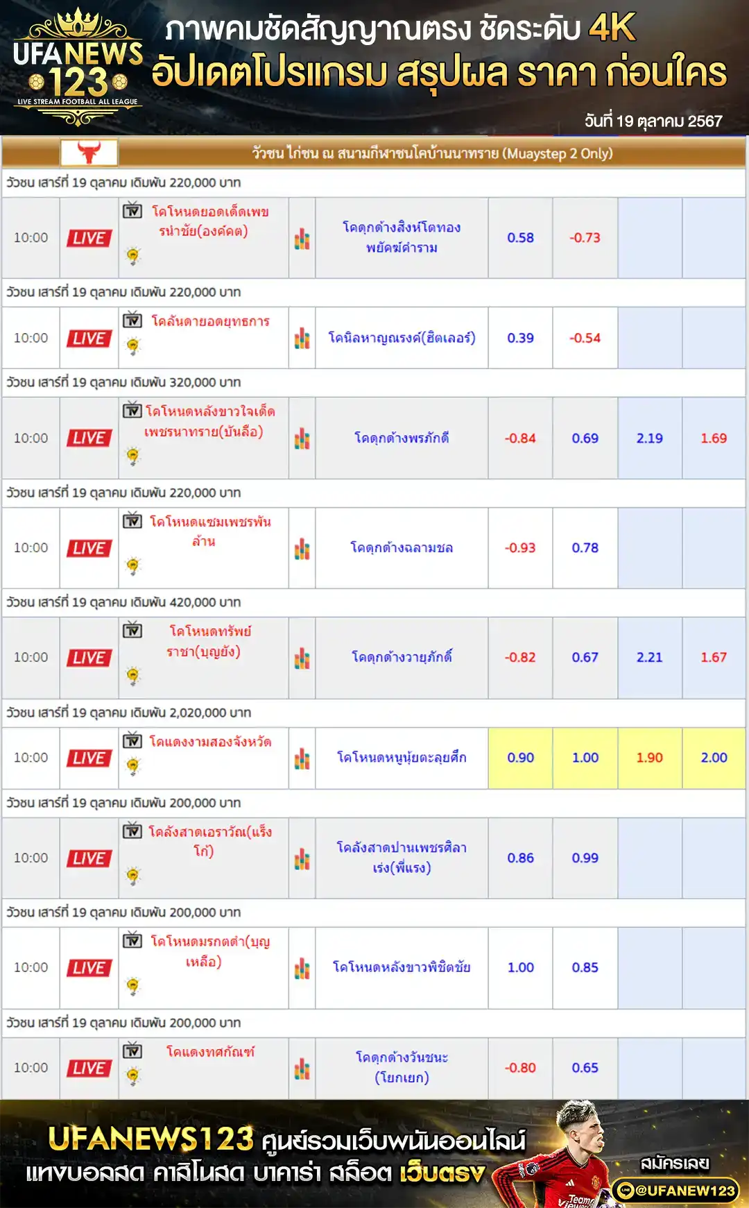 ราคาวัวชน สนามชนโคบ้านนาทราย เริ่มชนเวลา 10.00 น. 19 ตุลาคม 2567