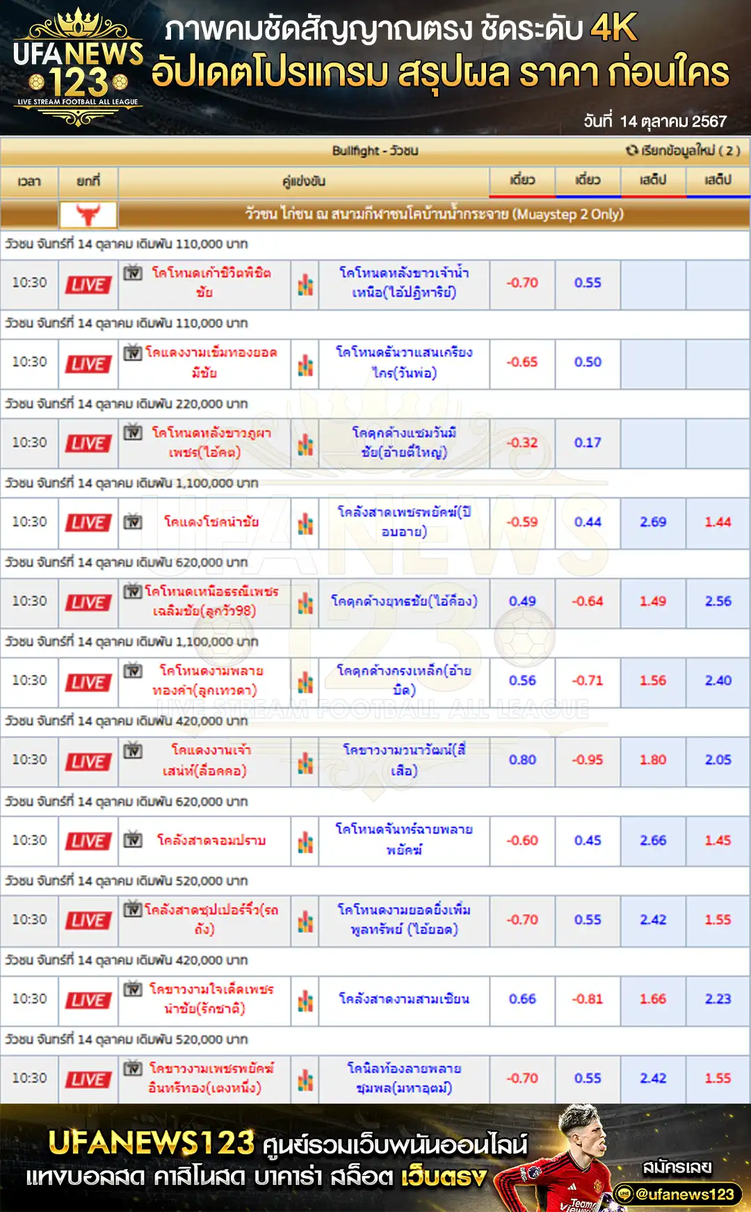 ราคาวัวชน สนามกีฬาชนโคบ้านน้ำกระจาย เริ่มชนเวลา 10:30 น. 14 ตุลาคม 2567