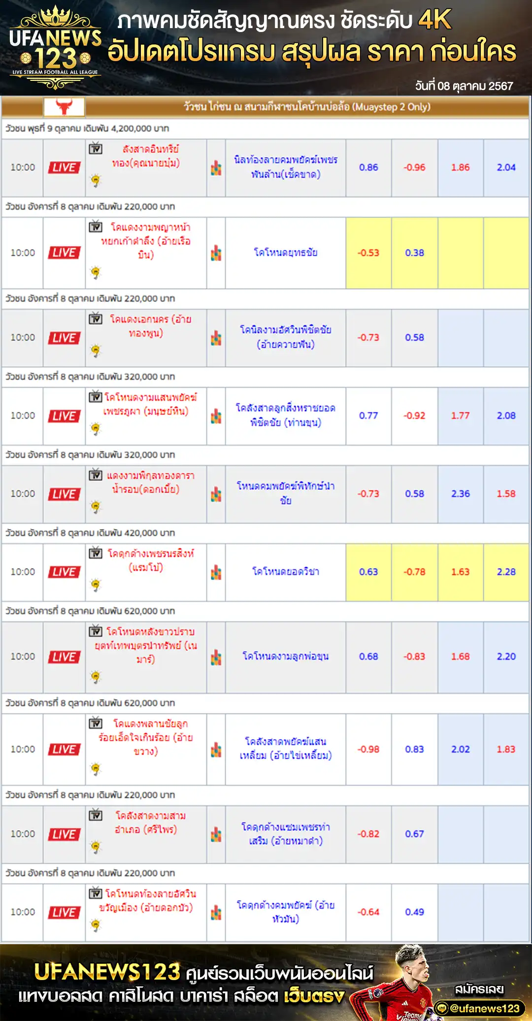 ราคาวัวชน สนามชนโคบ้านบ่อล้อ เริ่มชนเวลา 10.00 น. 08 ตุลาคม 2567