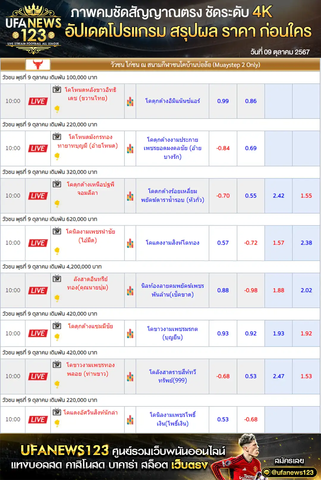 ราคาวัวชน สนามชนโคบ้านบ่อล้อ เริ่มชนเวลา 10.00 น. 09 ตุลาคม 2567