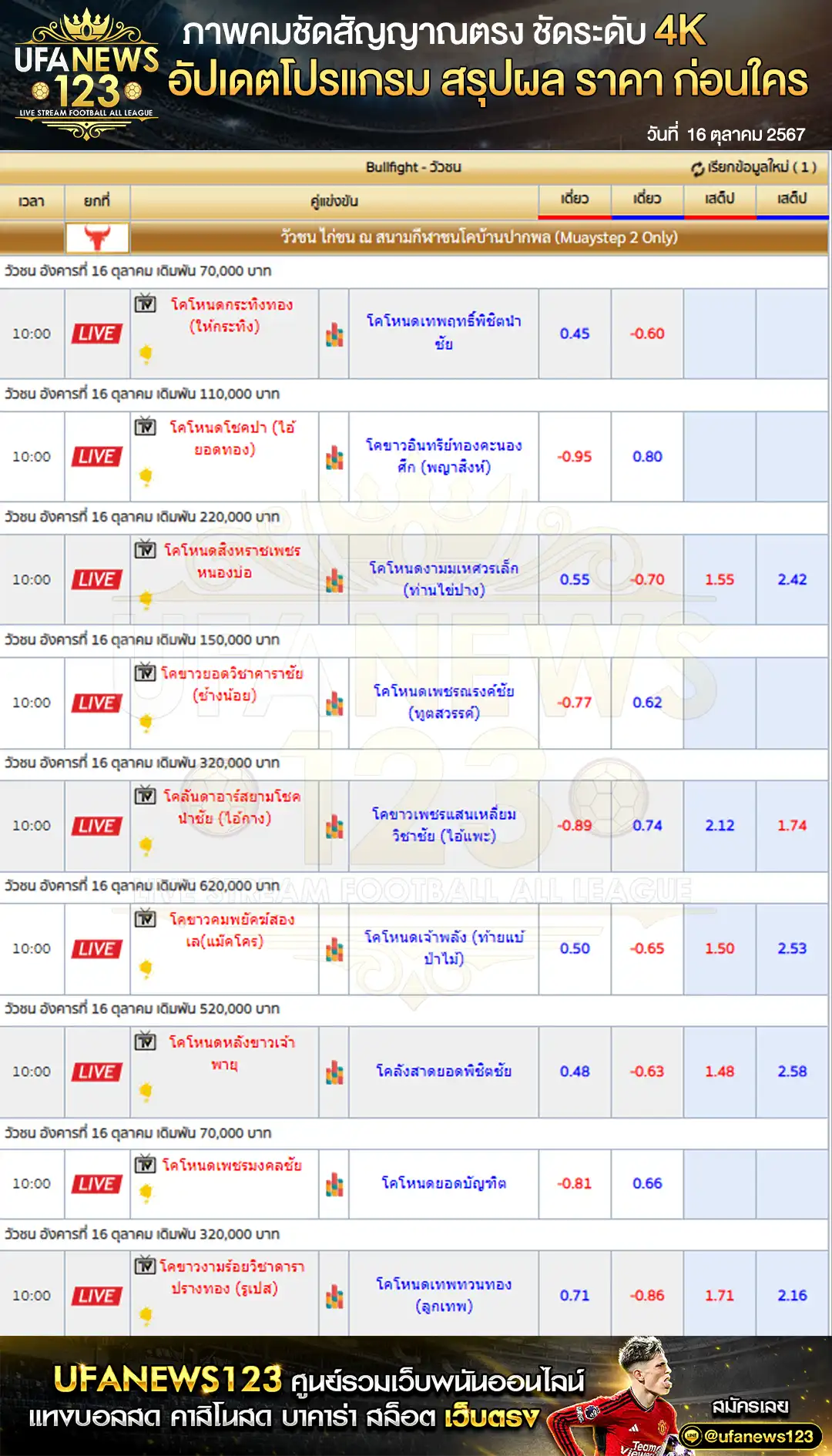 ราคาวัวชน สนามกีฬาชนโคบ้านปากพล เริ่มชนเวลา 10:00 น. 16 ตุลาคม 2567