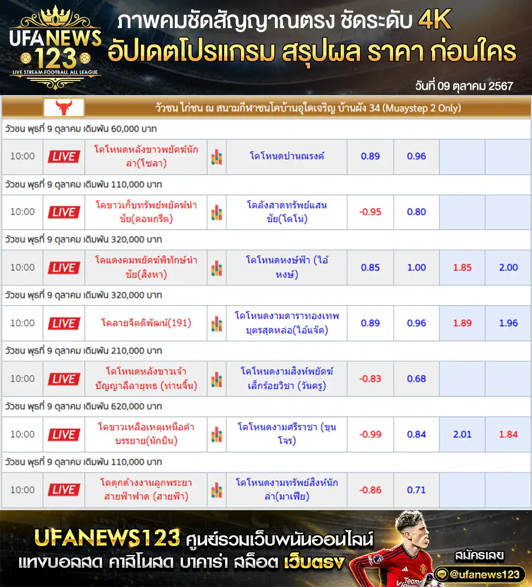 ราคาวัวชน สนามชนโคบ้านผัง 34 เริ่มชนเวลา 10.45 น. 09 ตุลาคม 2567