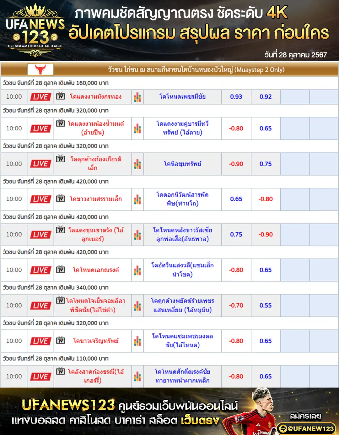 ราคาวัวชน สนามชนโคบ้านหนองบัวใหญ่ เริ่มชนเวลา 10.30 น. 28 ตุลาคม 2567