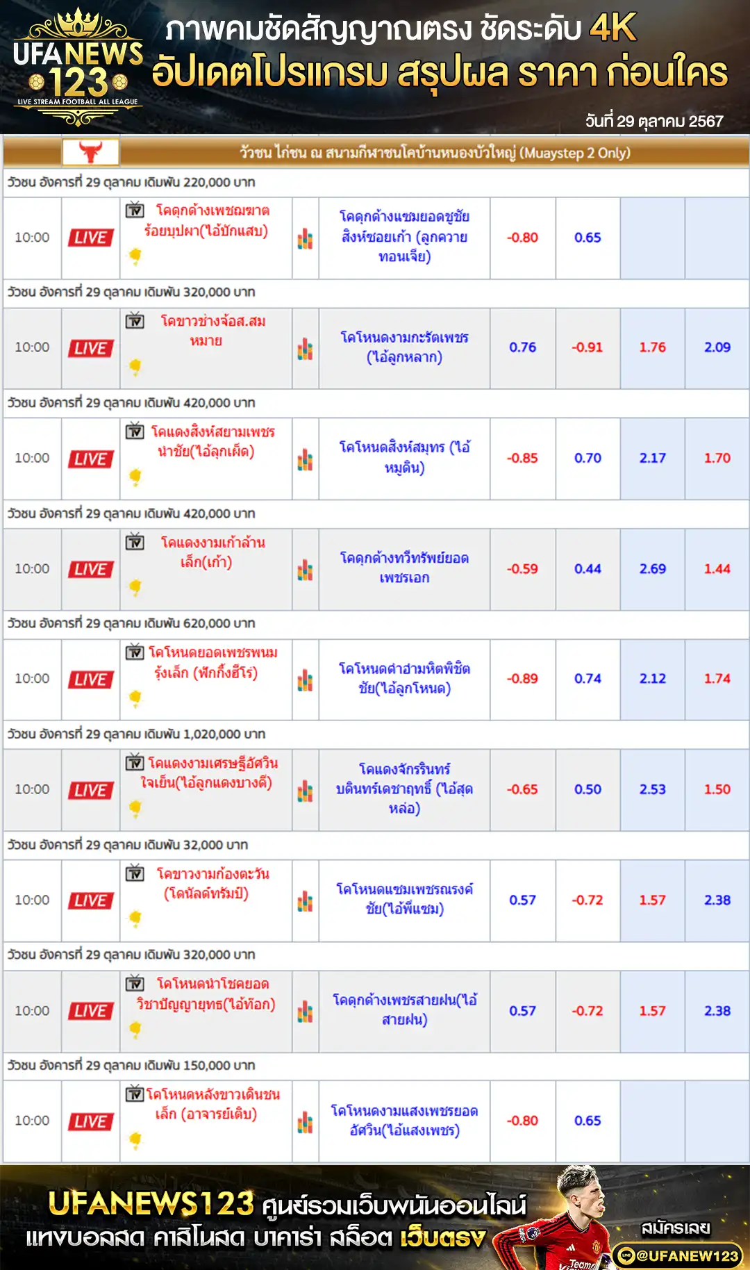 ราคาวัวชน สนามชนโคบ้านหนองบัวใหญ่ เริ่มชนเวลา 10.30 น. 29 ตุลาคม 2567