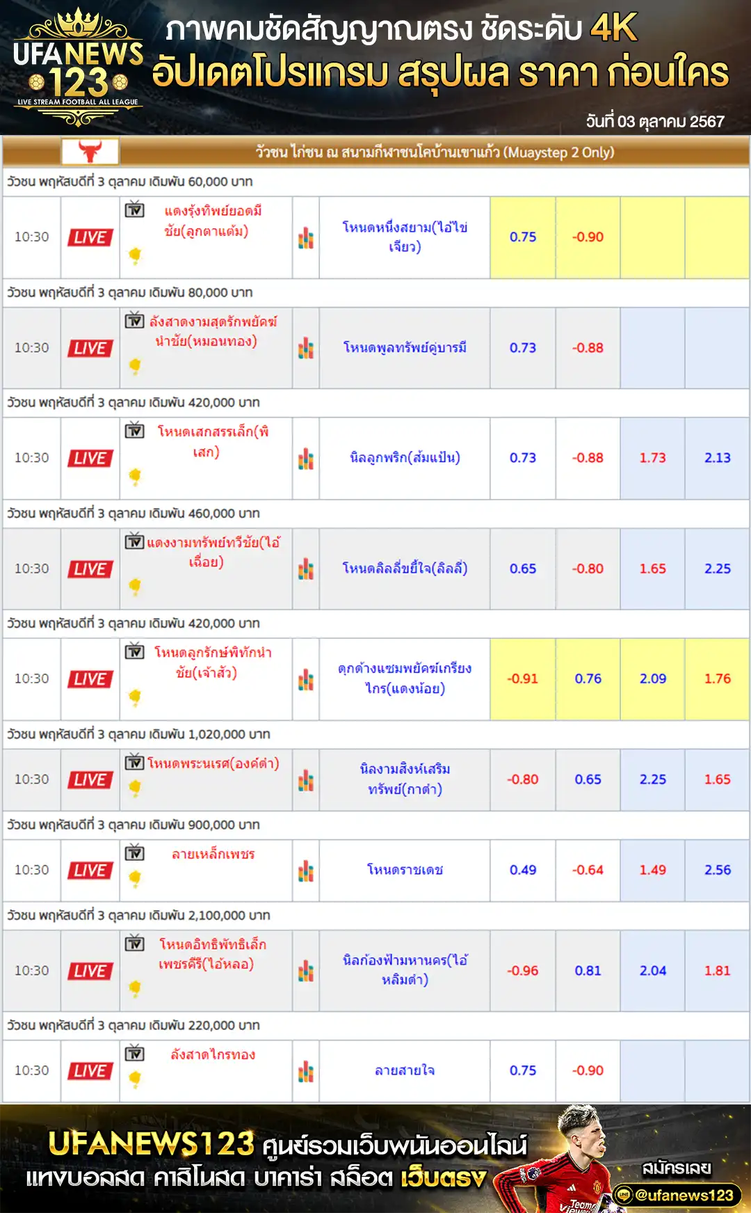 ราคาวัวชน สนามชนโคบ้านเขาแก้ว 03 ตุลาคม 2567