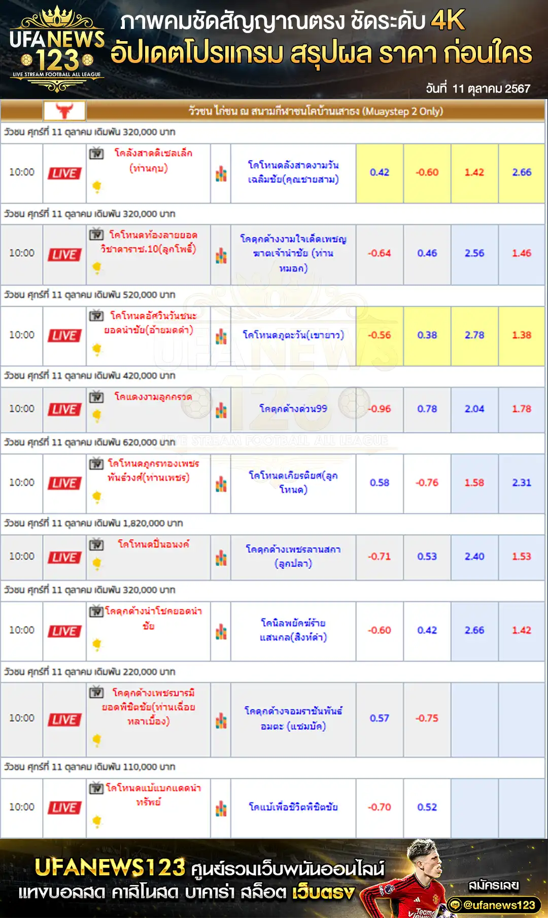 ราคาวัวชน สนามกีฬาชนโคบ้านเสาธง เริ่มชนเวลา 10:00 น. 11 ตุลาคม 2567