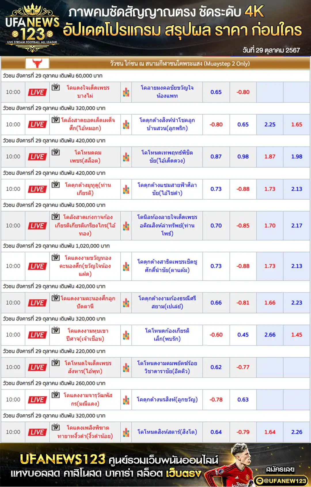 ราคาวัวชน สนามชนโคพระแสง เริ่มชนเวลา 10.30 น. 29 ตุลาคม 2567