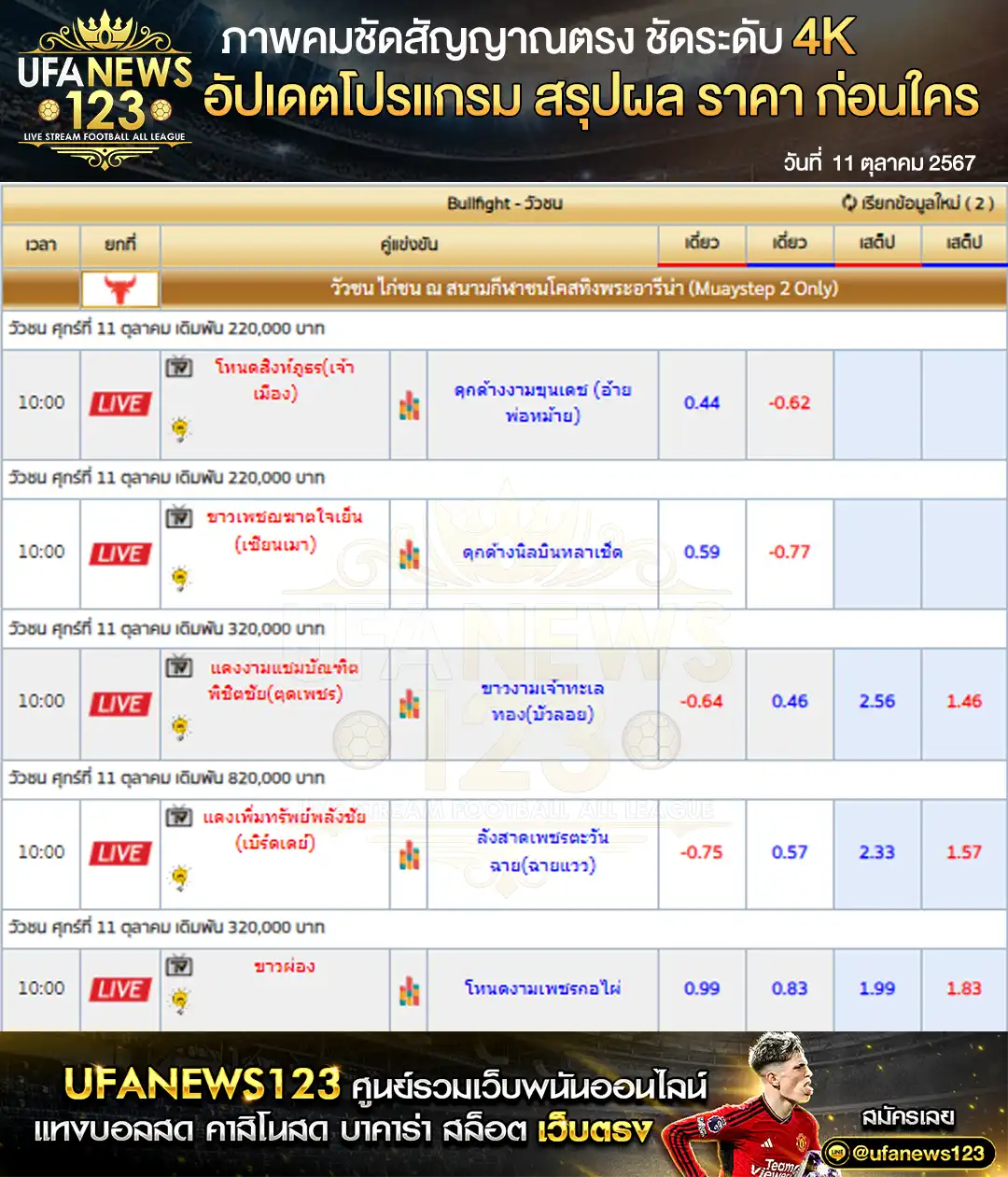 ราคาวัวชน สนามกีฬาชนโคสทิงพระอารีน่า เริ่มชนเวลา 10:30 น.  11 ตุลาคม 2567