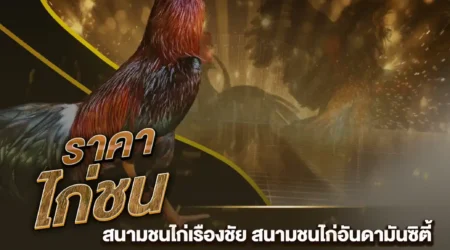 ราคาไก่ชน 06 ตุลาคม 2567