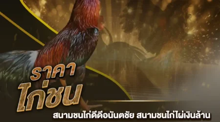 ราคาไก่ชน 27 ตุลาคม 2567