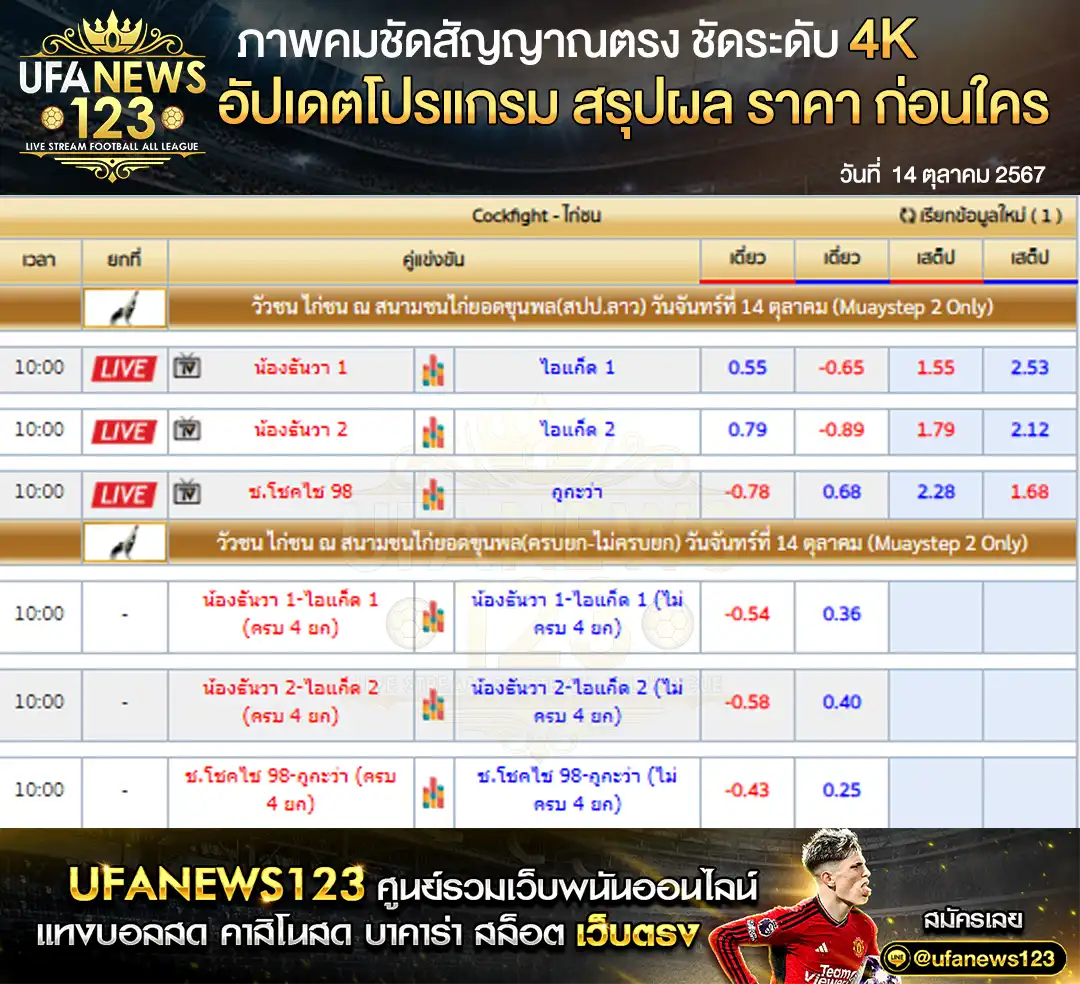 ราคาไก่ชน สนามชนไก่ยอดขุนพล 14 ตุลาคม 2567