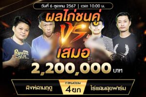 เทปไก่ชน สิงห์สามฤดู VS ไร่เเสนสุขฟาร์ม 06 ตุลาคม 2567