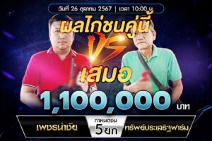 เทปไก่ชน เพชรนำชัย VS ทรัพย์ประเสริฐฟาร์ม 26 ตุลาคม 2567