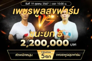 เทปไก่ชน ห้าพลังหนุ่ม VS เพชรพูลสุขฟาร์ม 19 ตุลาคม 2567