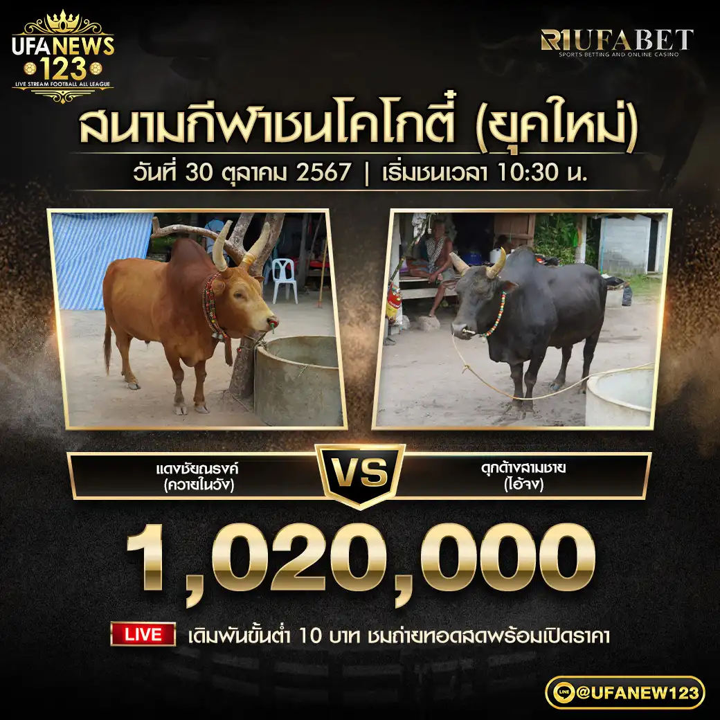 แดงชัยณรงค์ (ควายในวัง) VS ดุกด้างสามชาย (ไอ้จง) ชิงรางวัล 1,020,000 บาท