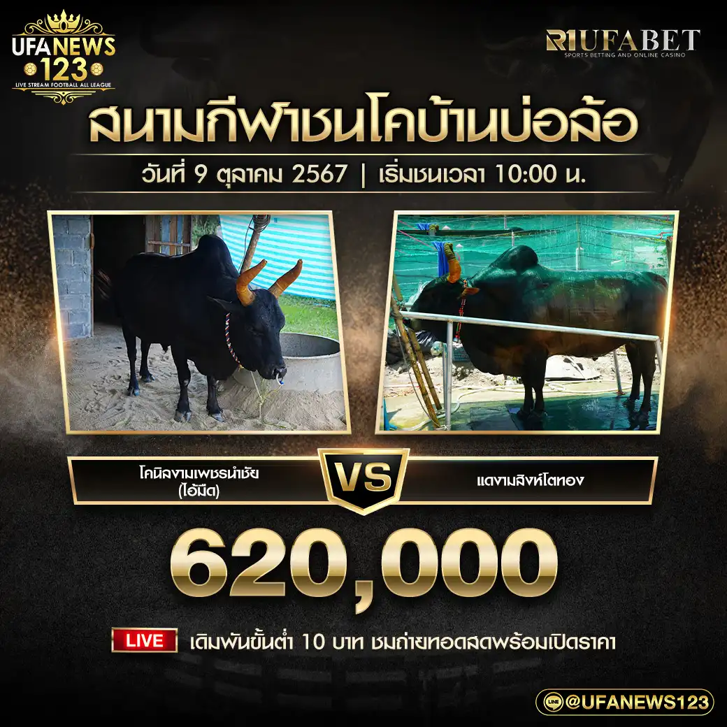 โคนิลงามเพชรนำชัย (ไอ้มืด) VS แดงงามสิงห์โตทอง ชิงรางวัล 620,000 บาท