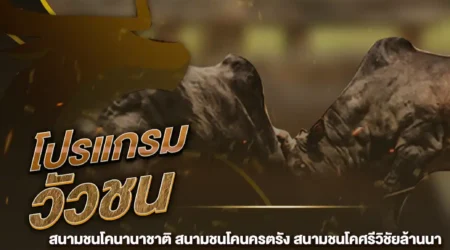 โปรแกรมวัวชน 05 ตุลาคม 2567