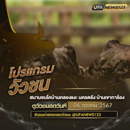 โปรแกรมวัวชน 06 ตุลาคม 2567