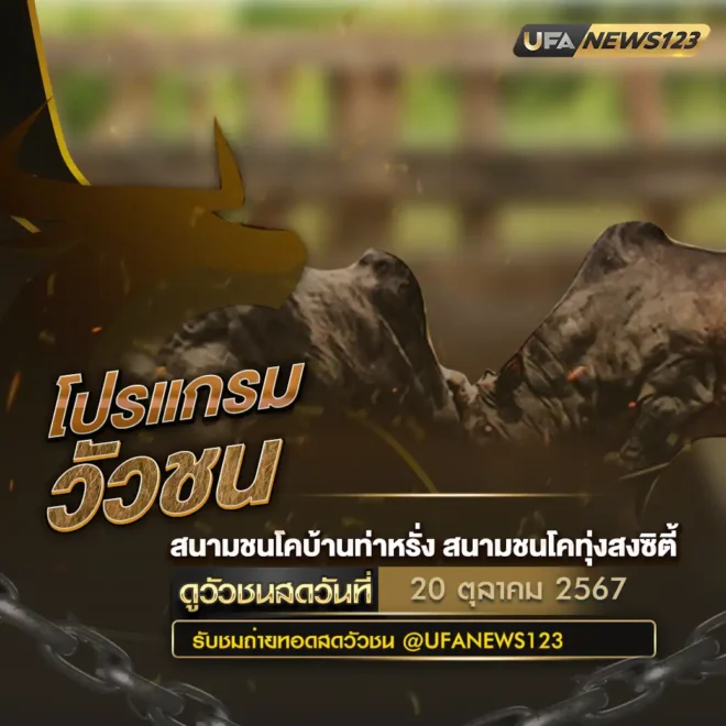 โปรแกรมวัวชน 20 ตุลาคม 2567