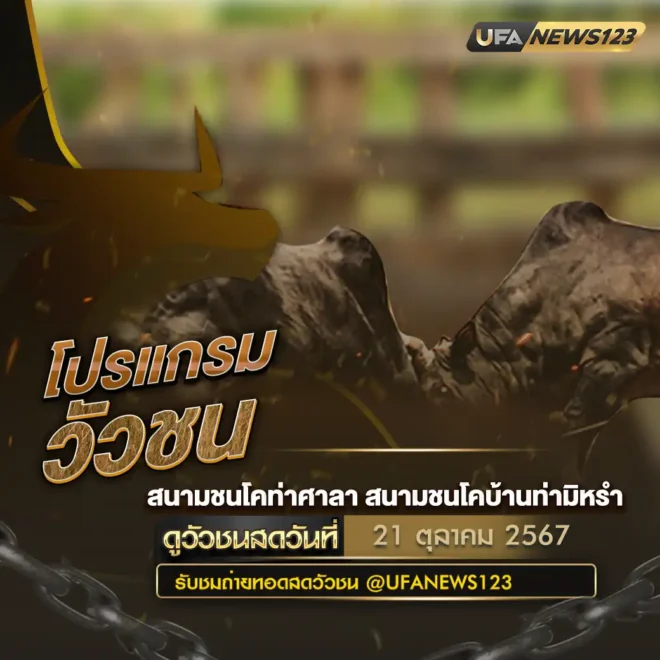 โปรแกรมวัวชน 21 ตุลาคม 2567