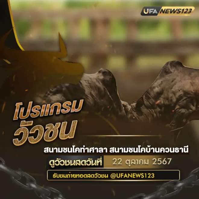 โปรแกรมวัวชน 22 ตุลาคม 2567